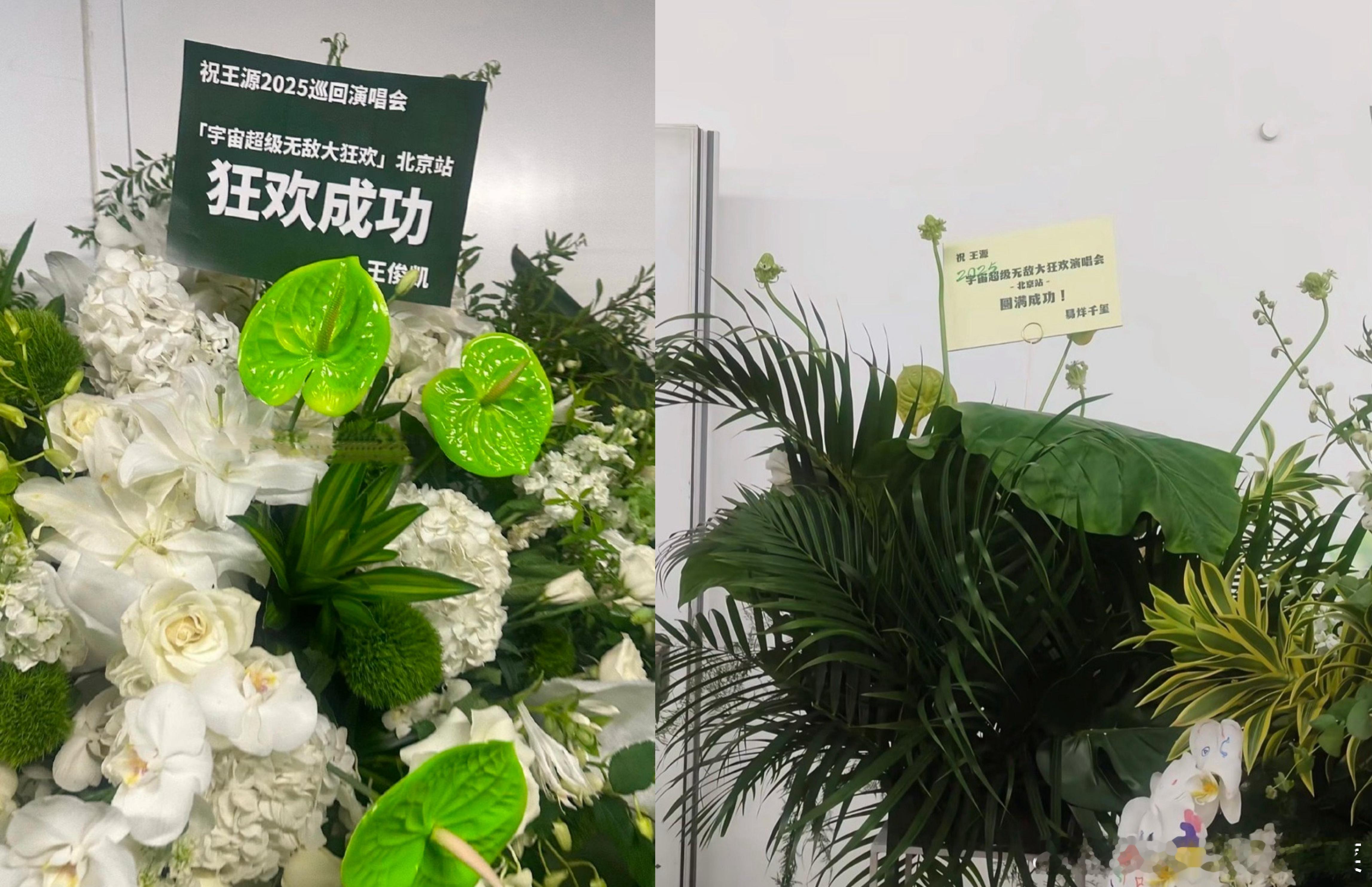 王俊凯易烊千玺王源演唱会有网友说王俊凯和易烊千玺去王源鸟巢演唱会了，目前还没看
