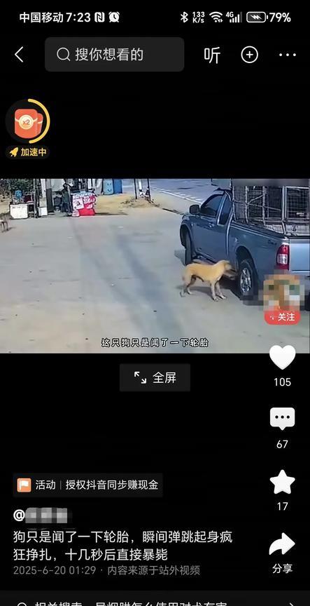 刷到一条视频，狗闻了轮胎，瞬间跳起疯狂挣扎，十几秒后断气。网上说有一种轮胎保护