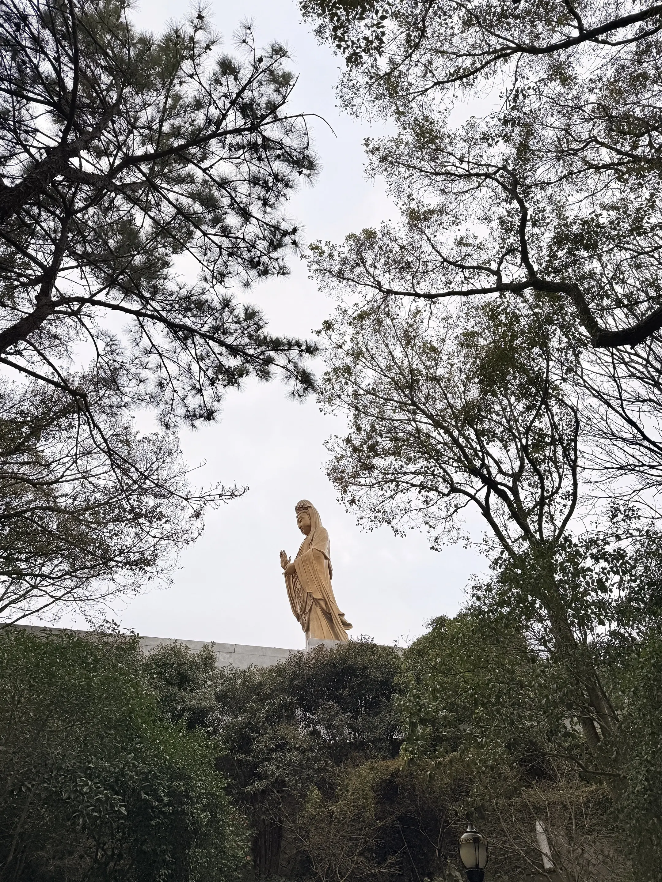 交换一张图片，证明你们2026年已经来过了普陀山🙏