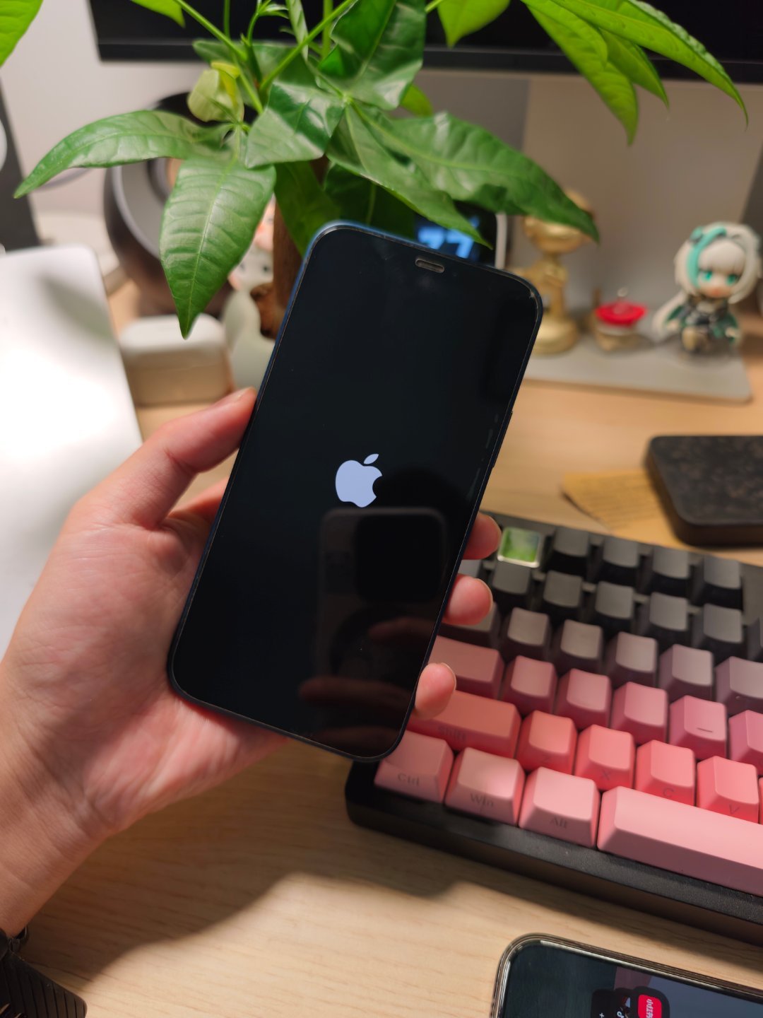 🌶︎🐔iPhone，卡白苹果开不了机了​​​
