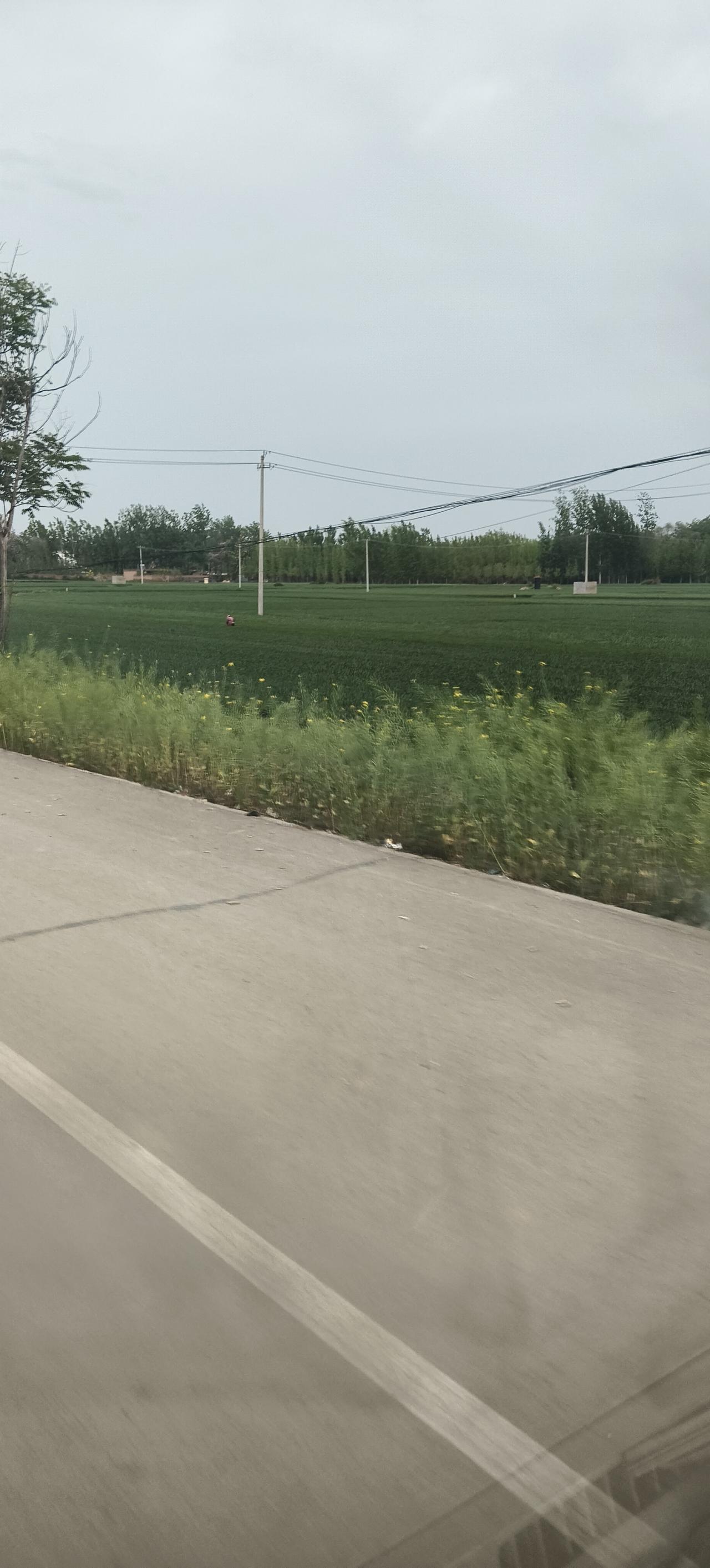 在农村生活才懂：看似清闲，其实比上班还累，句句都是大实话很多人都羡慕