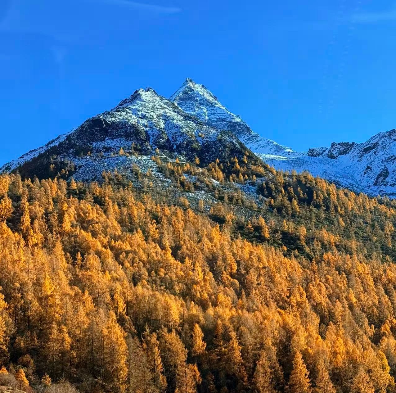 🔻最近我朋友圈打开全是理小路、理小路、理小路。🔻理小路太火了。