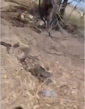 图文：俄步兵用手机拍摄沿着死亡之路行军视频路上遍布俄军士兵遗体一名俄