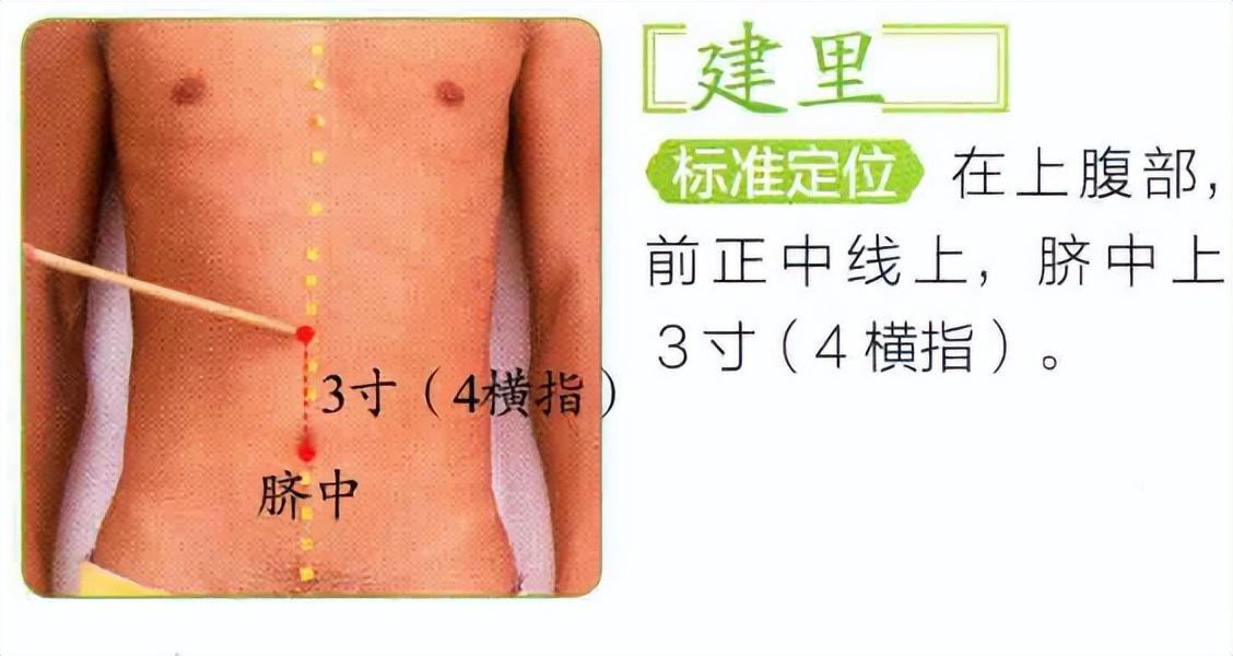 建里穴——强健人体之根基，补中益气、强壮脾胃第一穴大家好，我是中医陈医生！