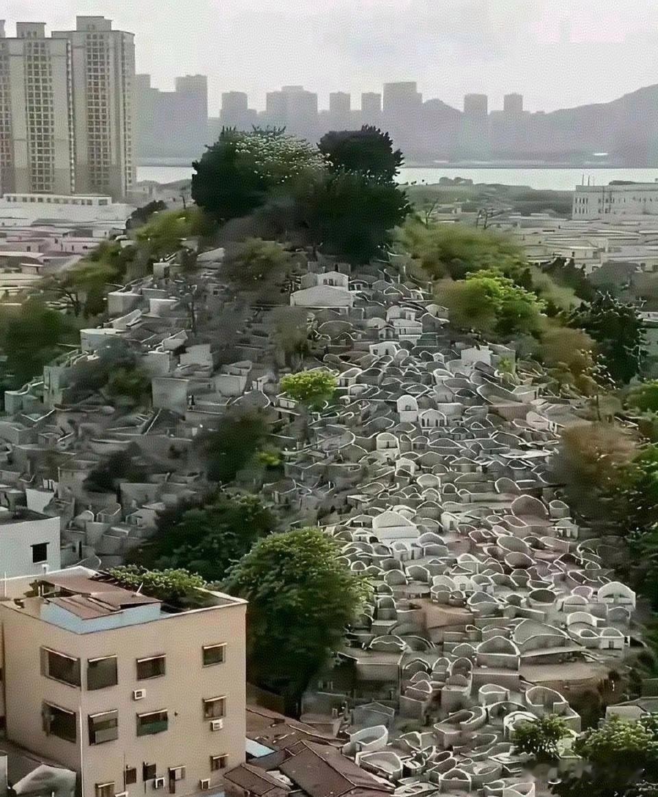 这就是多年以后，土葬的结果