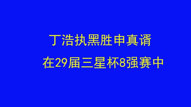 丁浩执黑胜申真谞, 在29届三星杯8强赛中, 如何评价双方的发挥