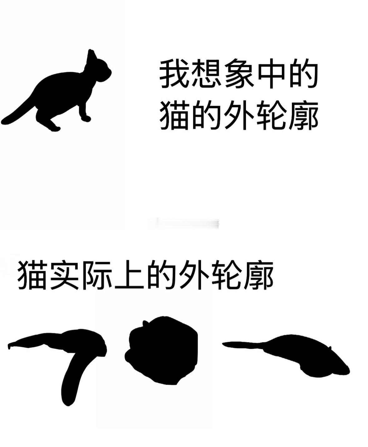 猫咪除了猫形态可以是任意形态​​​