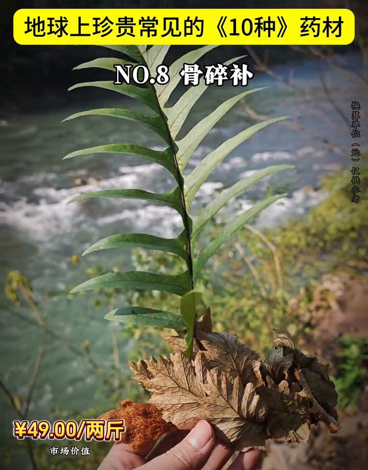 你以为的“珍贵药材”都错了。7500元两斤的药材，名字听起来像喂猪的。不是人参