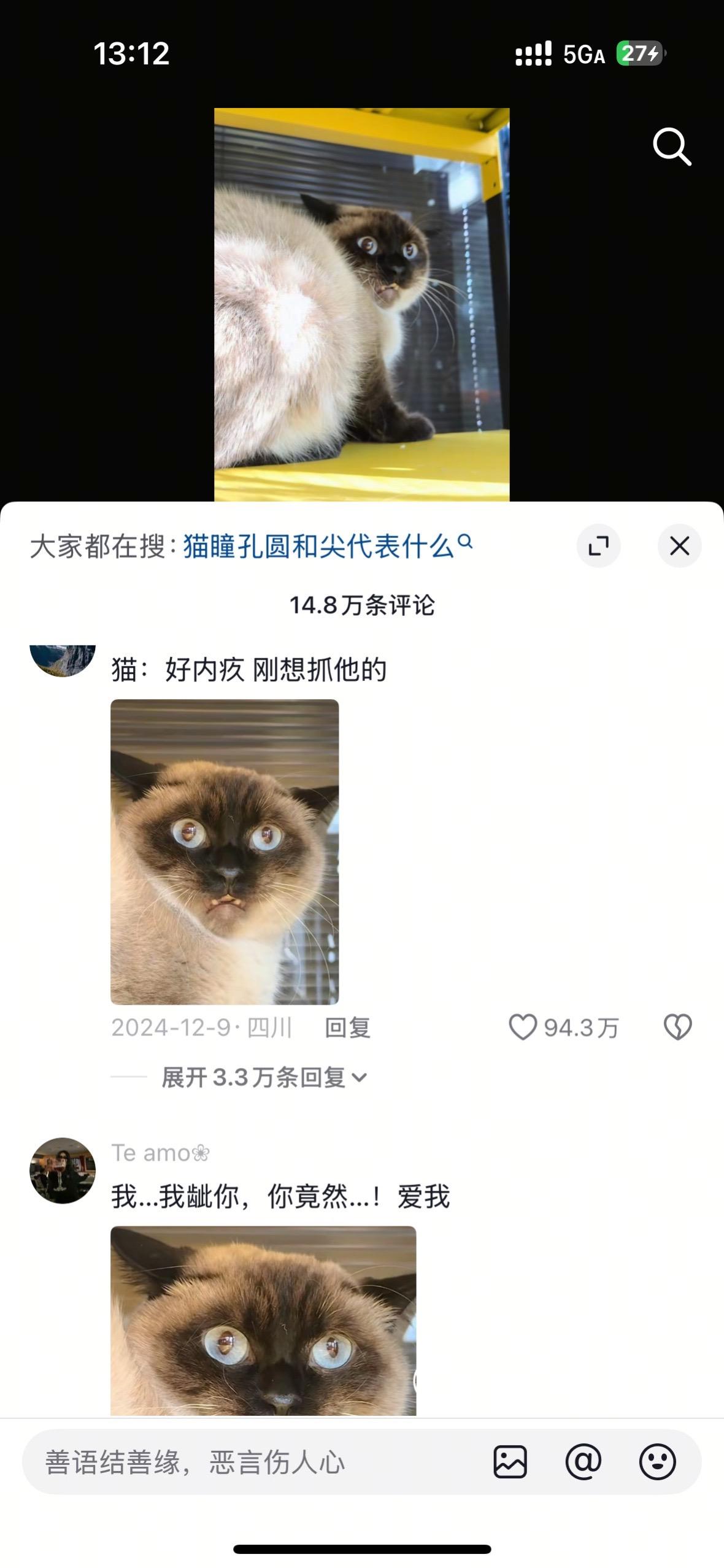 猫：内疚不已