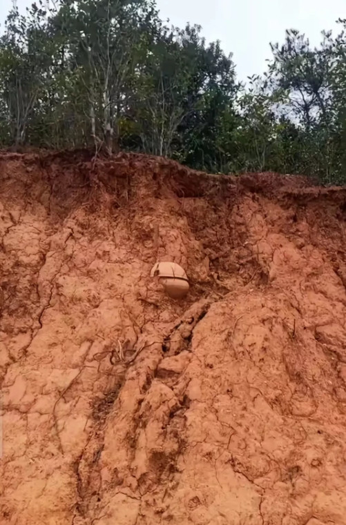 甘肃，连续下了几天大雨之后，有一位村民到山上的果园查看果树，发现果园附近不远处的