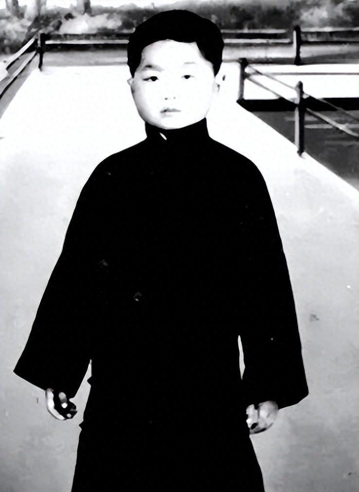 1946年陈赓与久别重逢的大儿子深夜长谈，突然低声问他：等我去世后，你会不会为我