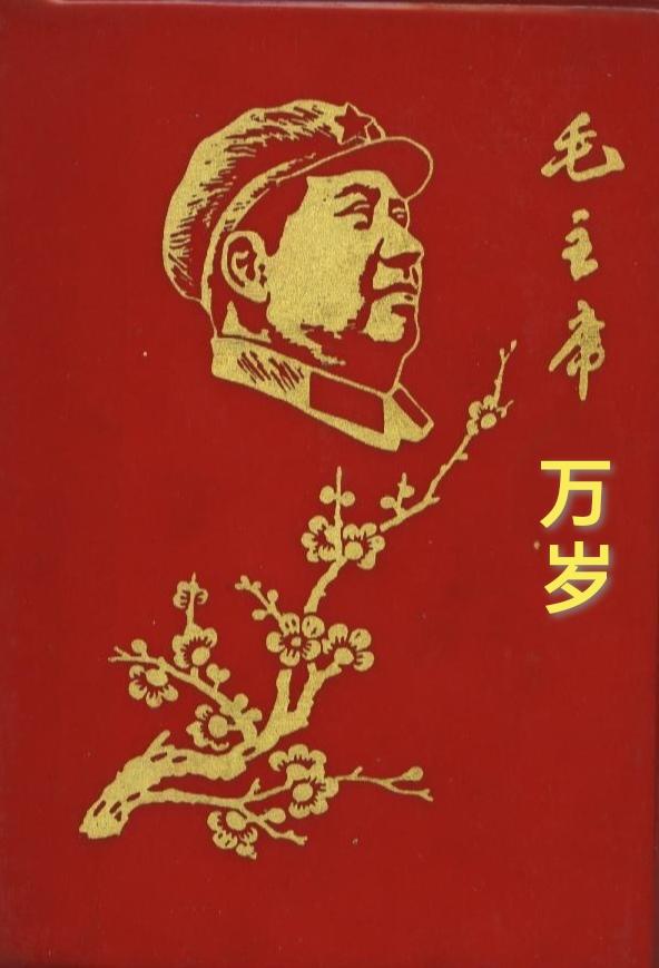 毛主席：我们正在朗诵您的这首诗！风雨送春归，飞雪迎春到。已是悬崖百丈冰，犹有