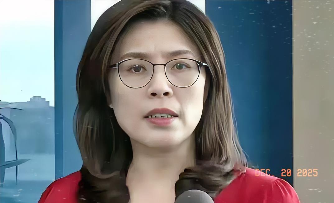 500万民意惊雷！这波全民怒吼，戳穿了最真实的人心真相2025年末的台湾岛