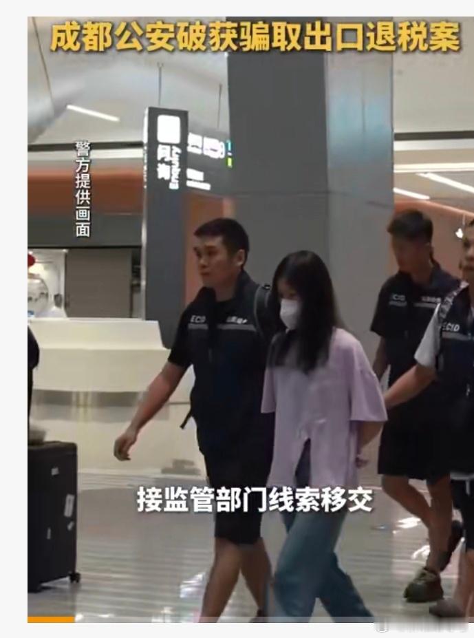 124家公司骗取出口退税涉案22亿元【成都公安破获骗取出口退税案】5月17日，记