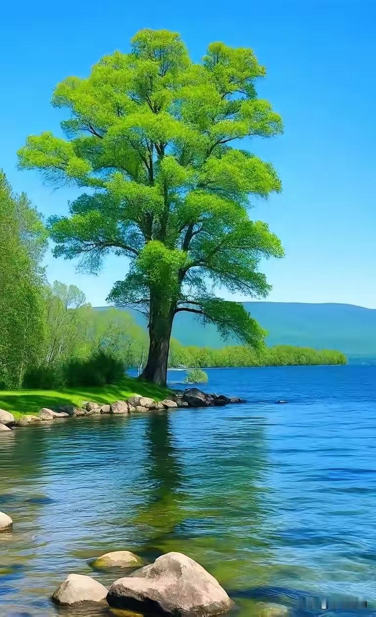 湖景碧水映青天，青林拂岸边。湖光含秀色，静意满山川。