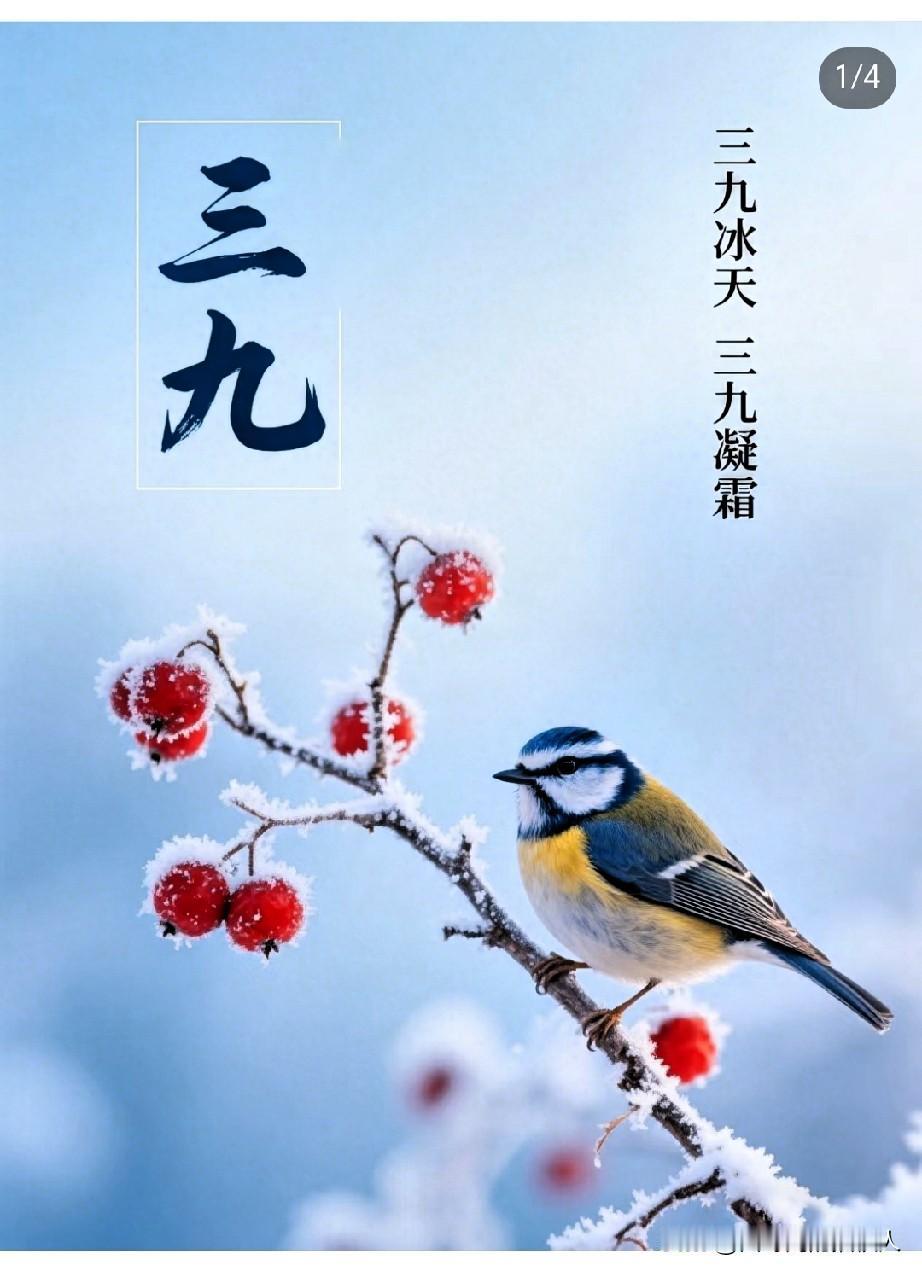 提前通知一下请大家做好心理准备啦！在后天凌晨0点0分0秒，就正式进入三九天