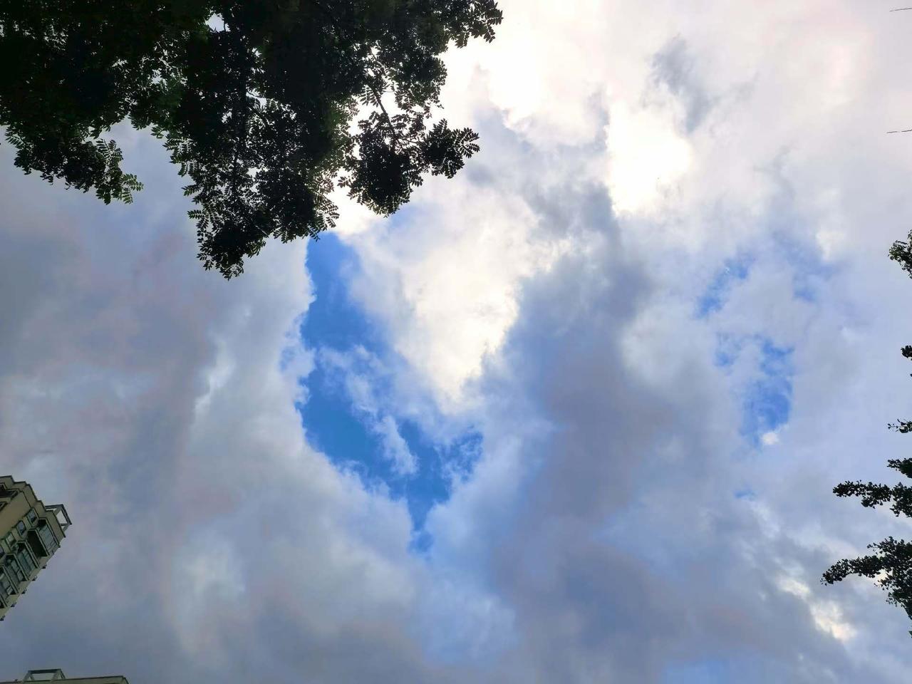昨天在小区凉亭遇见陈姐，她一句话差点让我惊掉下巴。五十五岁，有人给她介绍老伴