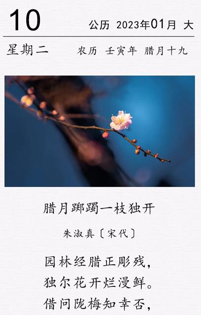 这是宋代女诗人朱淑真的一首咏梅诗。在南宋那个寒冷的腊月，一首咏梅诗从园林中悄