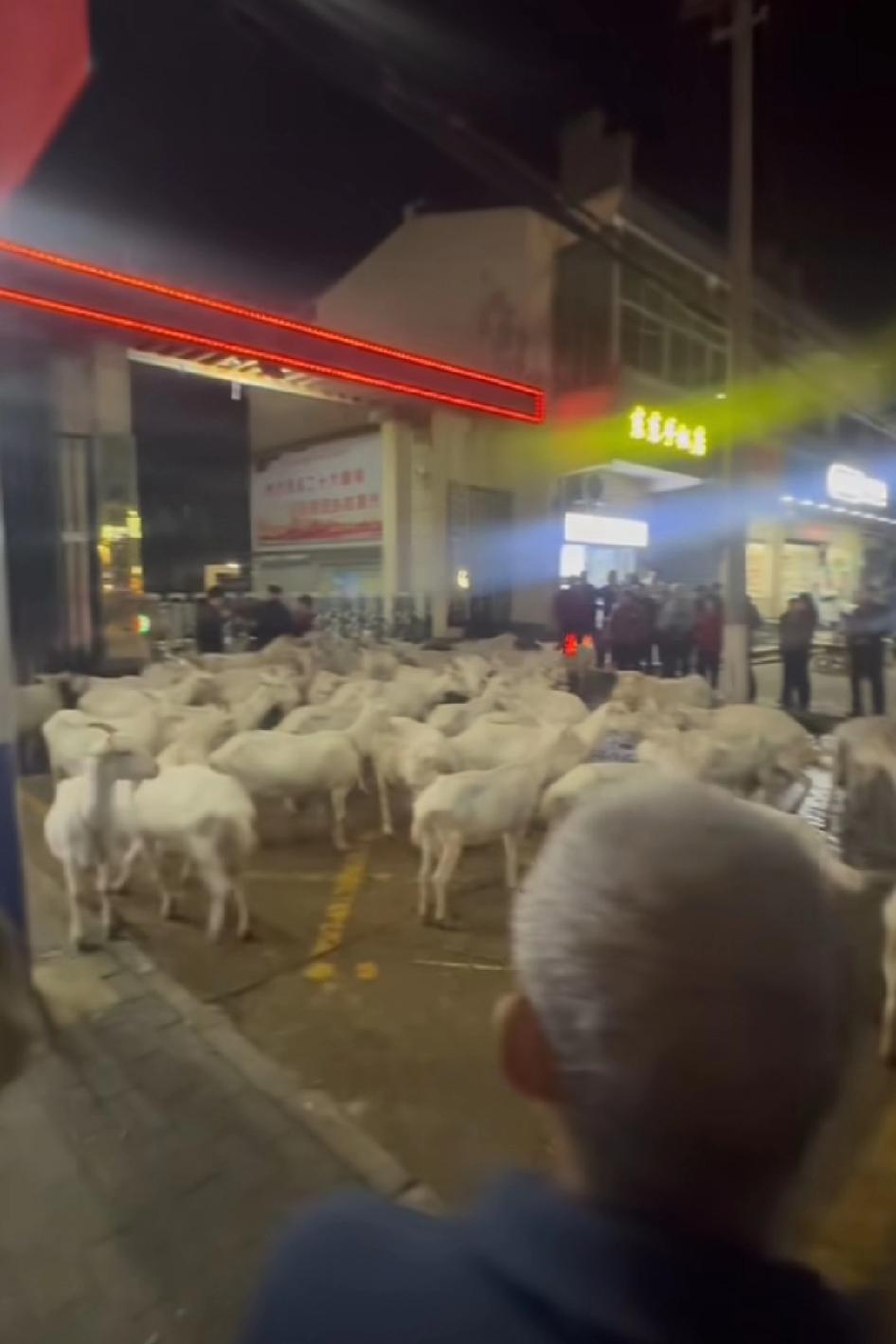 他会喊你走程序！谁想这好办法，六畜对六畜，好像把人家羊圈水淹了，地方大闲着也是闲