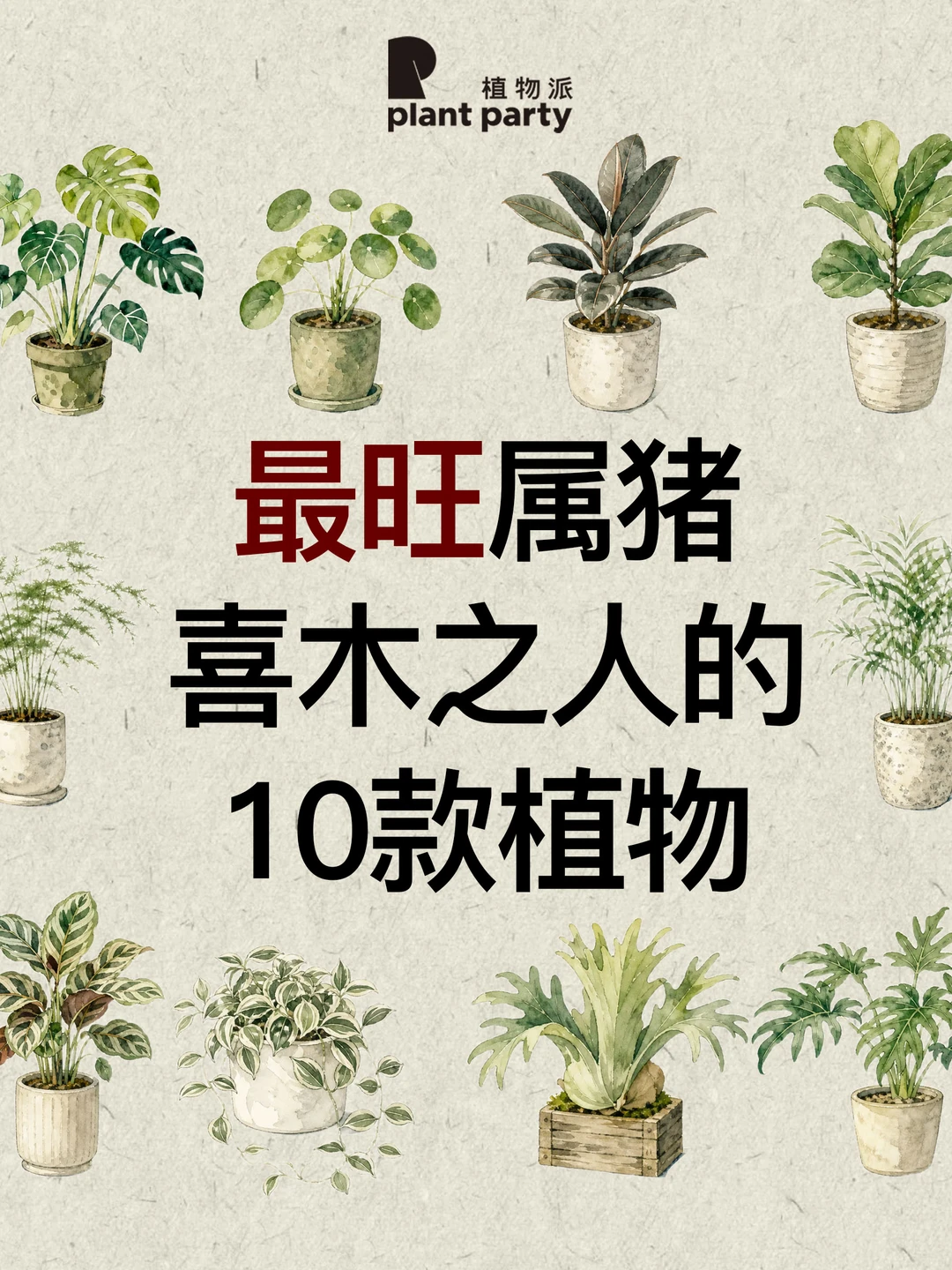生肖×五行｜最旺属猪喜木之人的植物