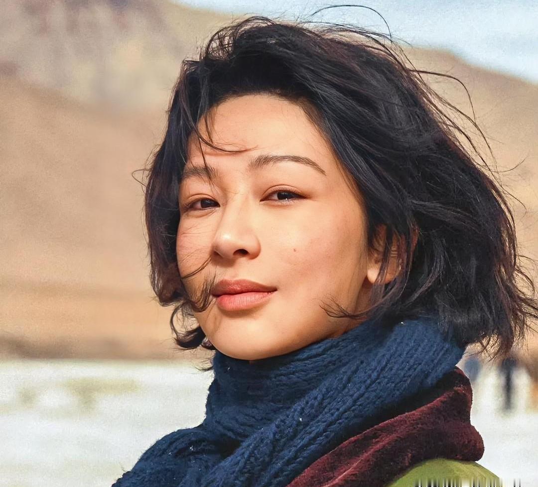 《生命树》高能预警：你熬夜追的剧，原来藏着最深的人性黑洞！白菊与邵云飞的离婚，