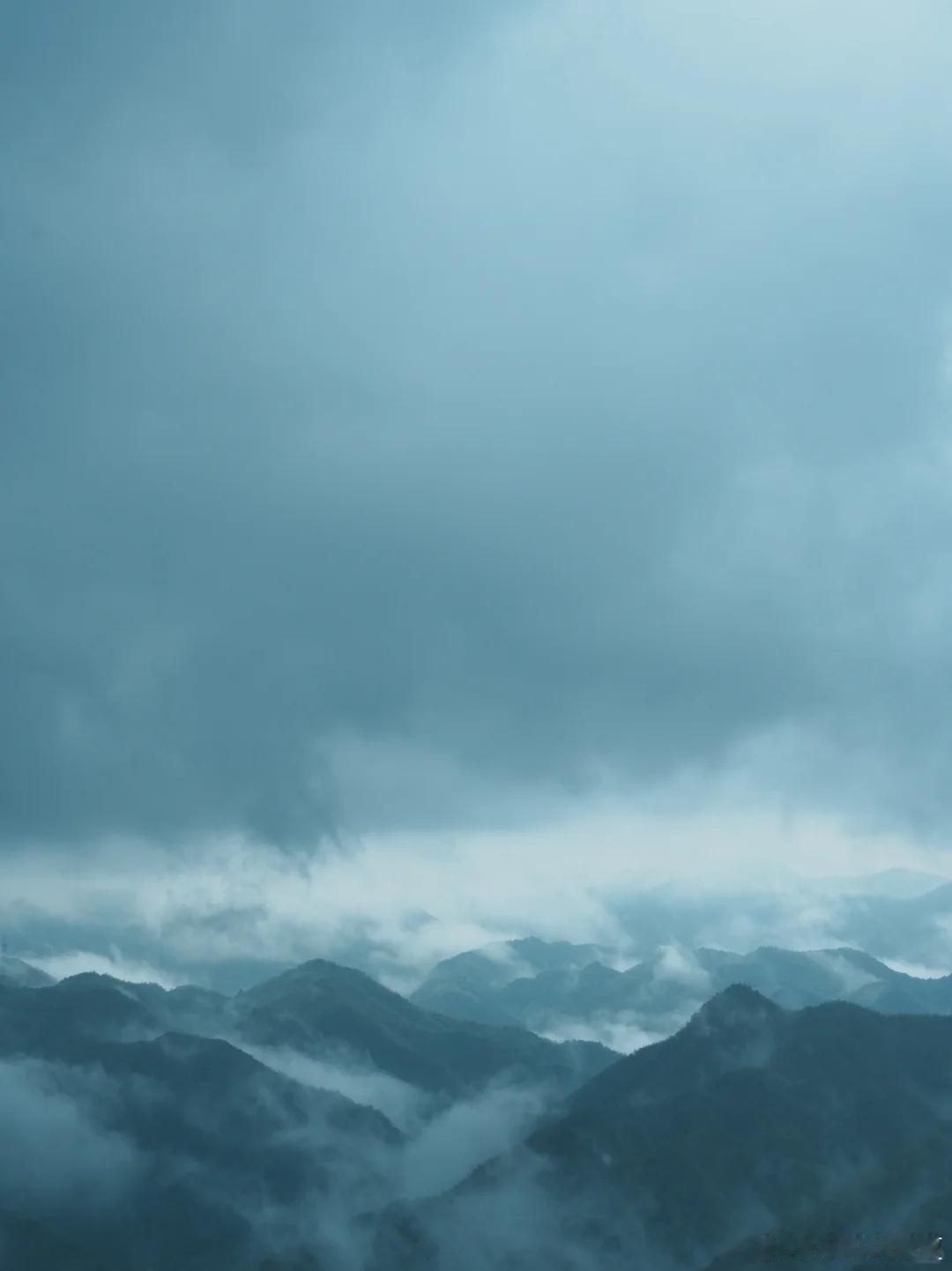 走进景宁，入目皆是满目苍翠，近800座海拔千米以上的群峰铺展开来，81.1%的森