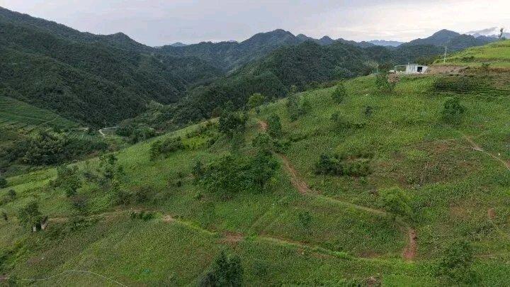 杭州这两位种出二三十万斤玉米的女子，真是让人又喜又忧。一位是农业公司总经理商华颖