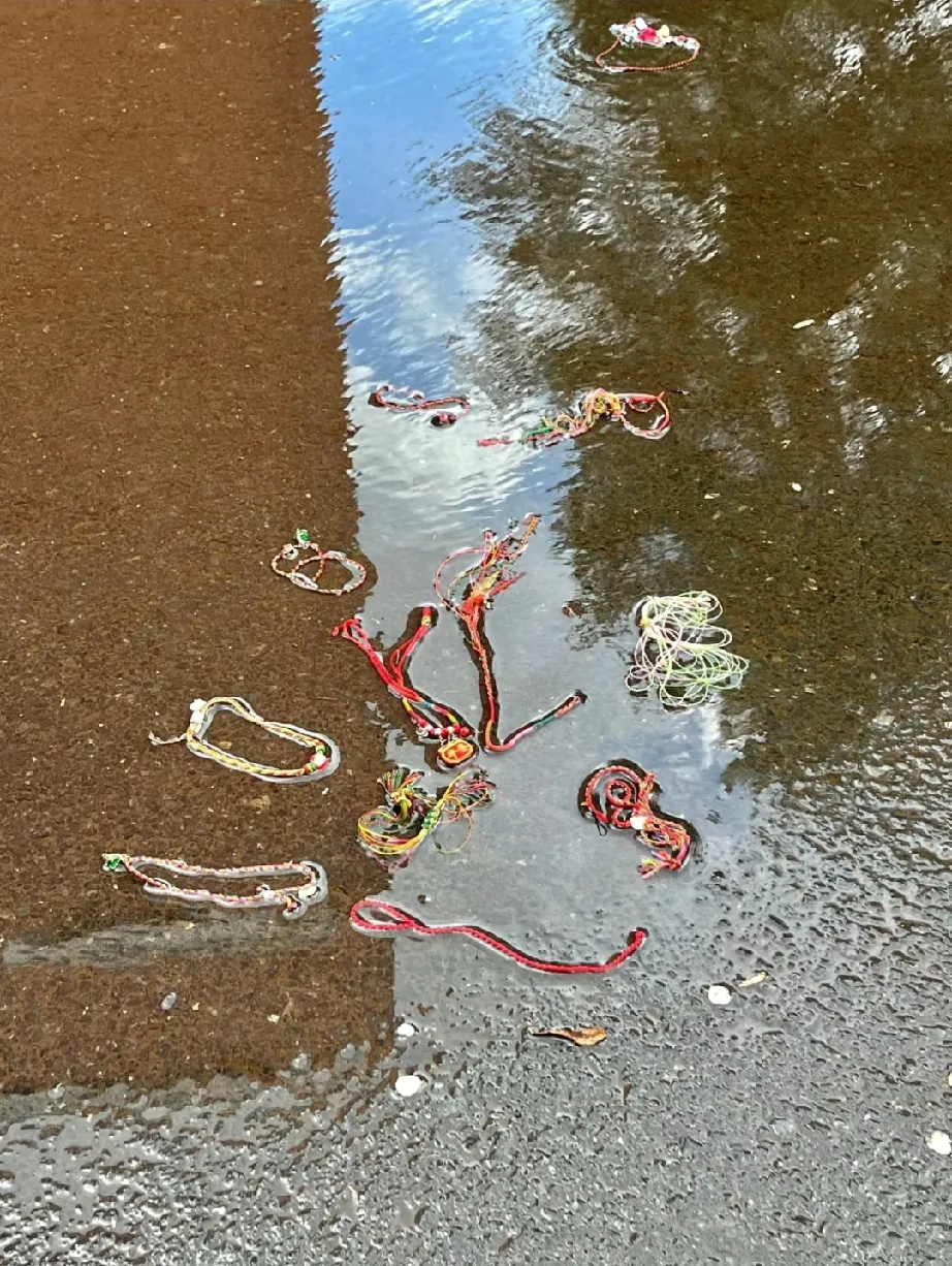 谁能解释东北这种现象啊？端午后下的第一场雨东北水坑的现状…[惊恐]