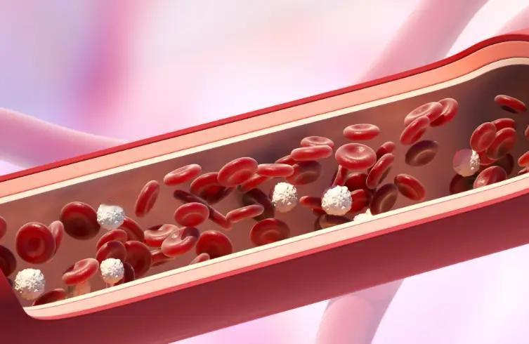 肾黄金！每天5颗这种零食，全身炎症降40%、癌症风险跌27%别再小
