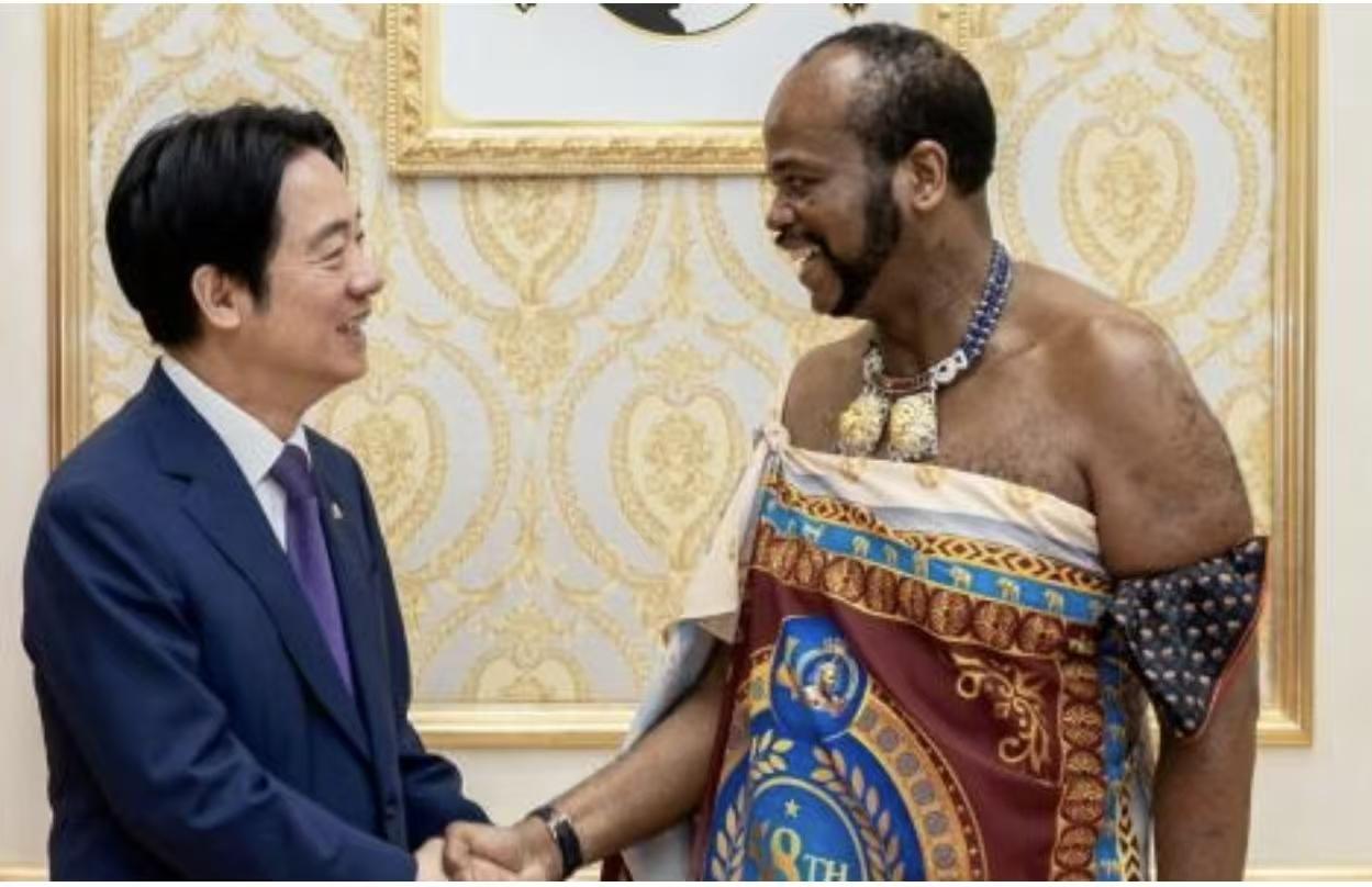 要不是对岸的癞皮狗别出心裁地藏在别人行李箱里“偷渡式”的出访，大多数网友可能压