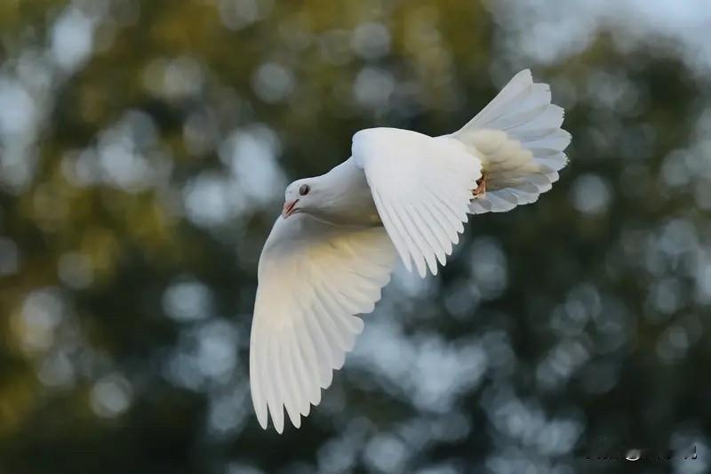 1.职场上被抢功劳，只要你不拆穿，表面依旧是和谐同事；2.朋友借了钱不还