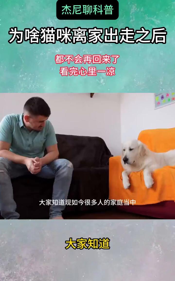 杰尼聊科普：为啥猫咪离家出走之后都不会再回来了？为什么猫咪离家出走之后都不会再