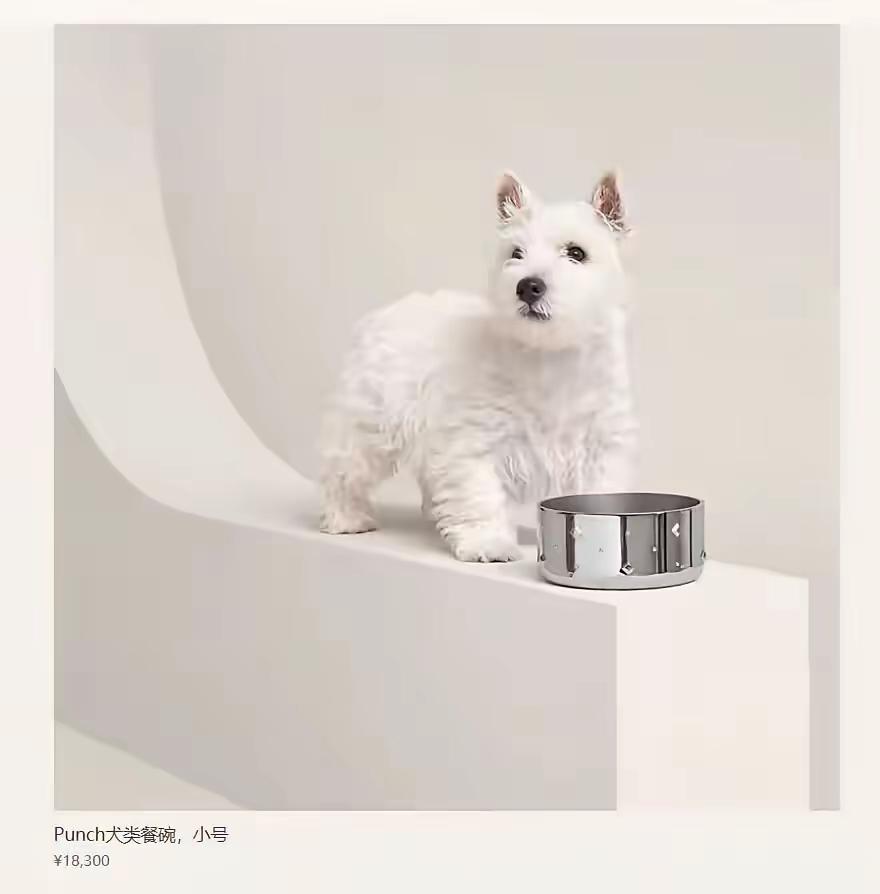 大家热火朝天的讨论瑞安99元不锈钢锅的时候，一则消息引发了我的关注。爱马仕一款狗