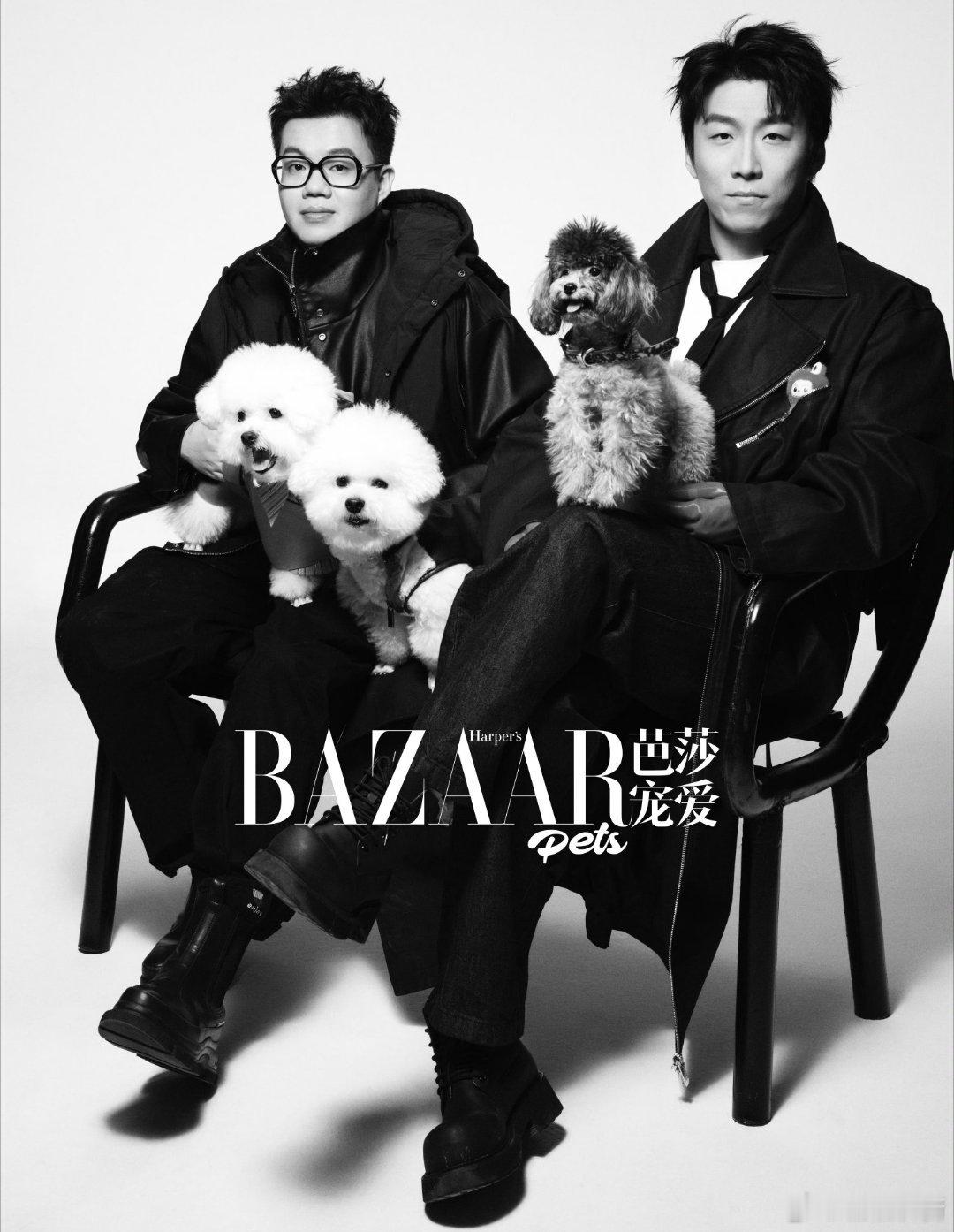 黑白镜头下，他们与宠物的温柔瞬间，定格了陪伴的温暖。喜人芭莎宠爱猫狗大片外星从芭