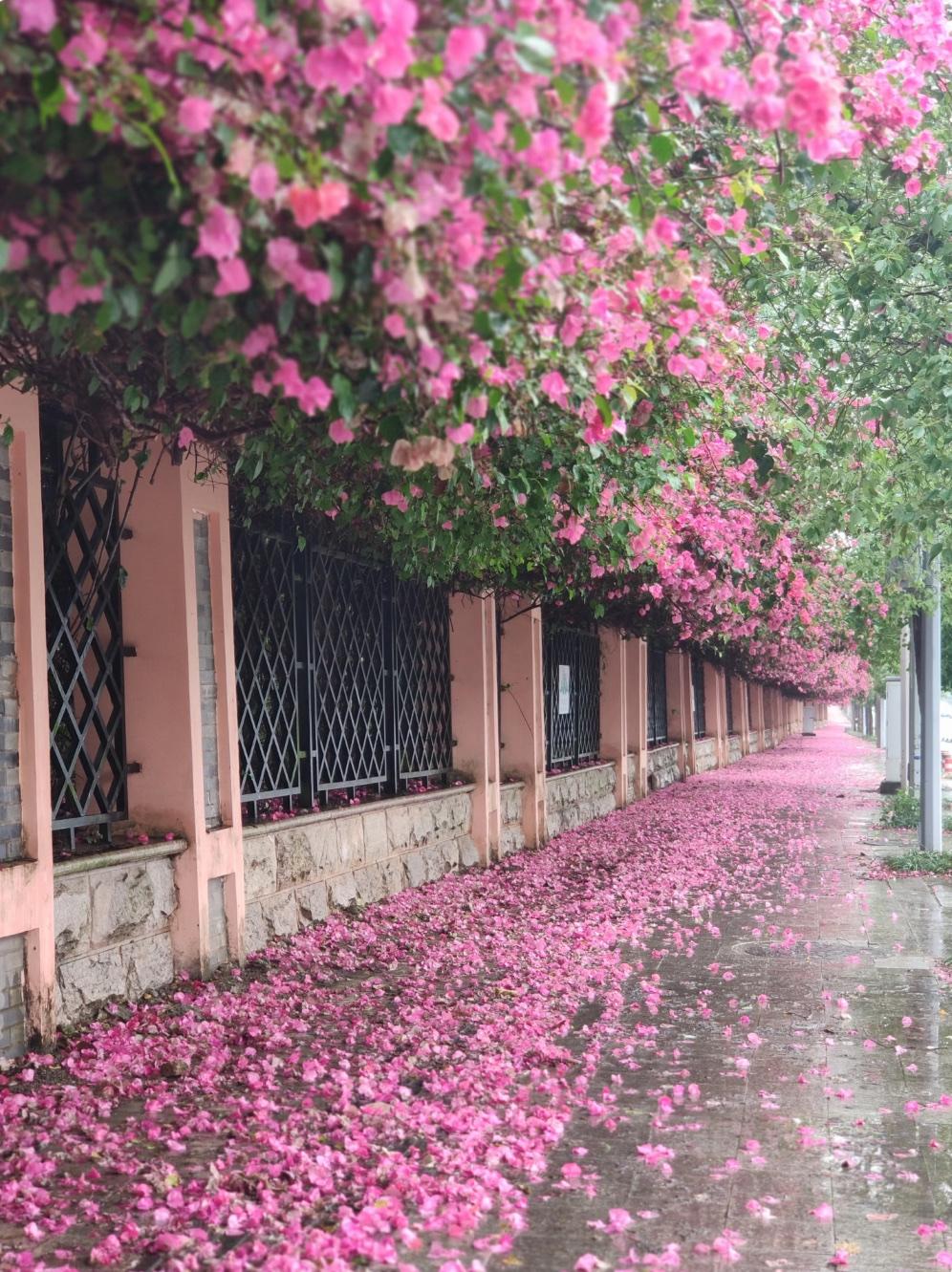 上联：花落春将尽下联：荷开夏风来