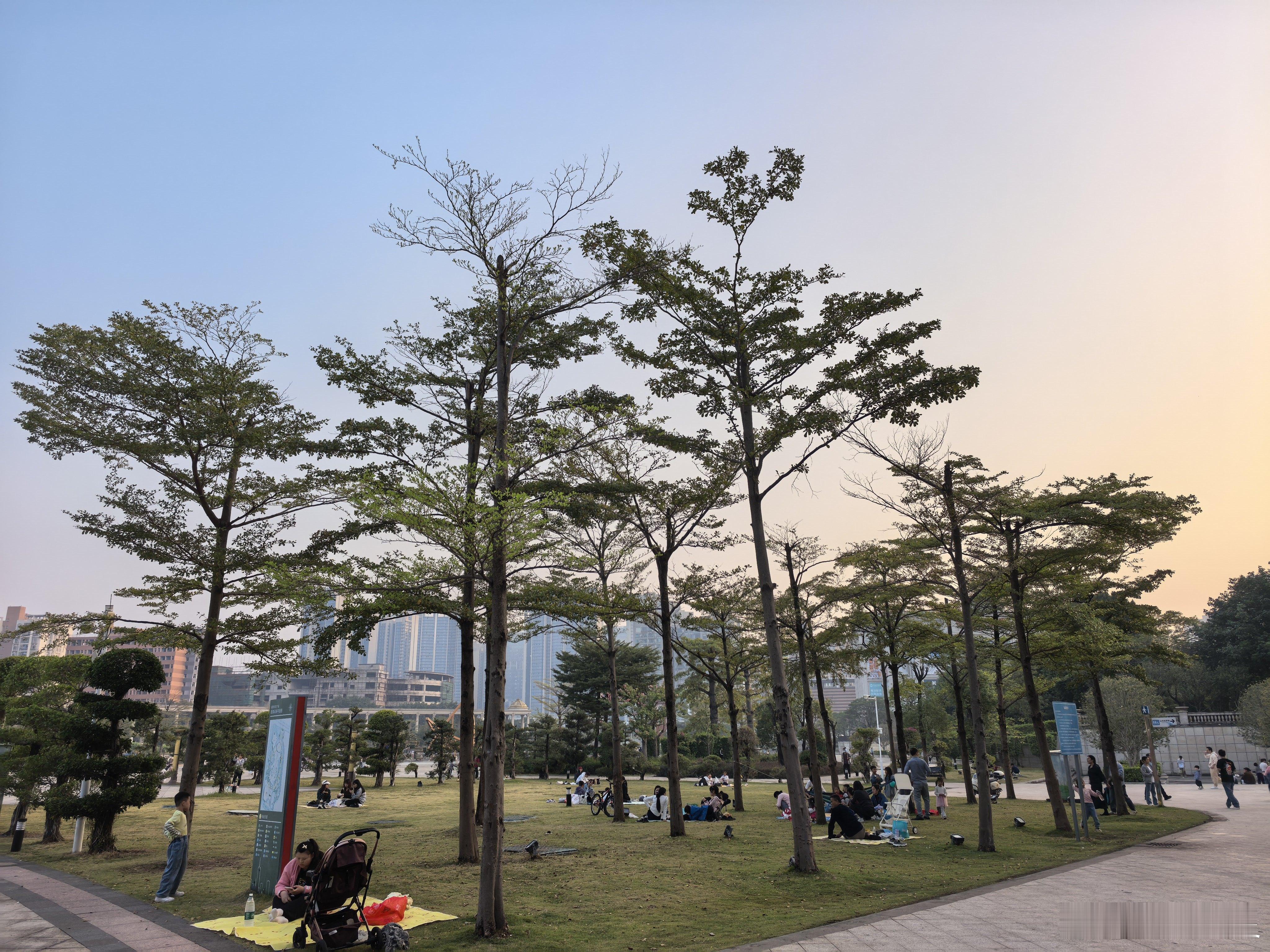 周末去哪儿深圳的公园又多又好……白天还是20多度，不热不冷。很多大人小孩在
