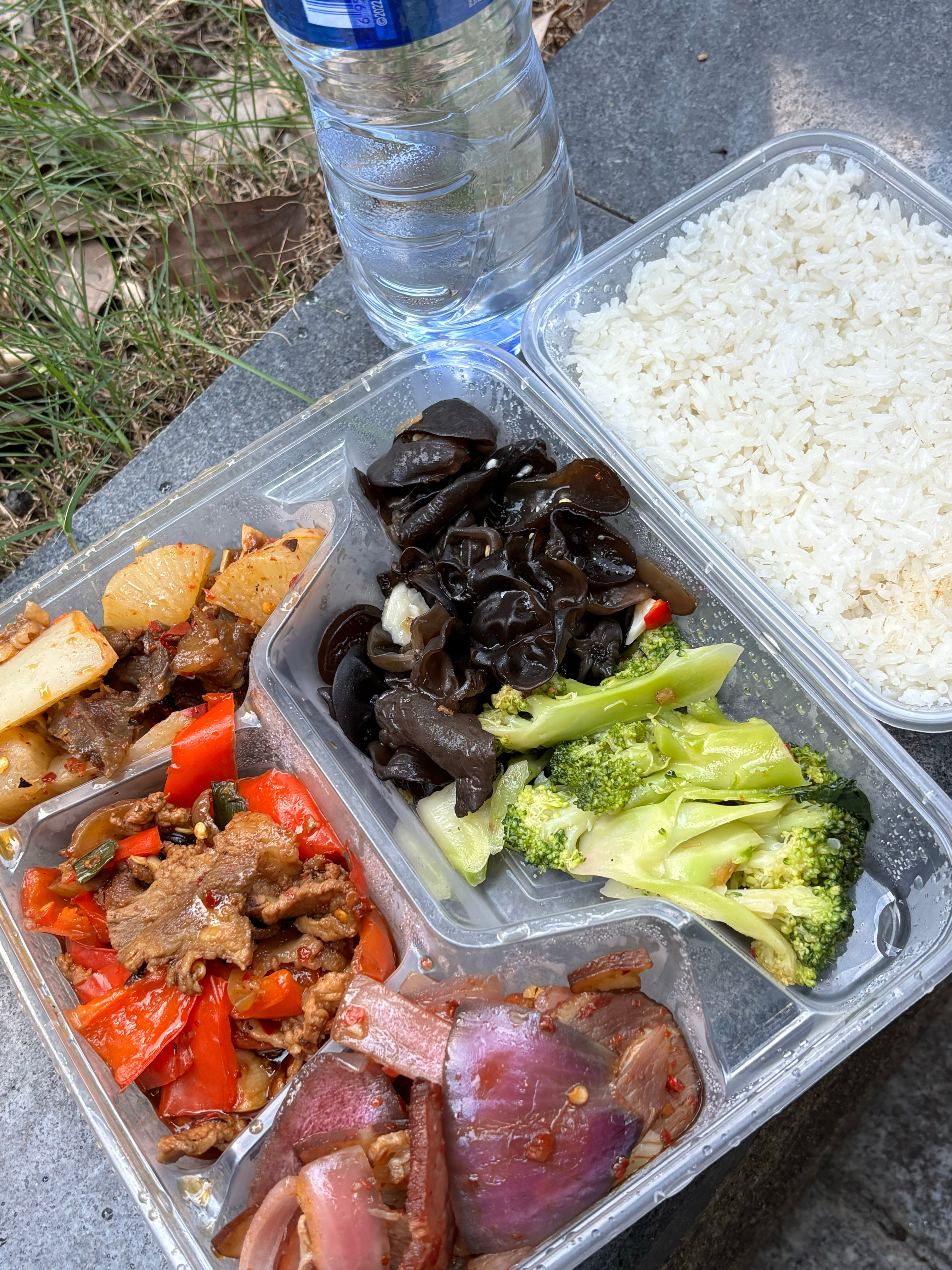 突然想念这份盒饭