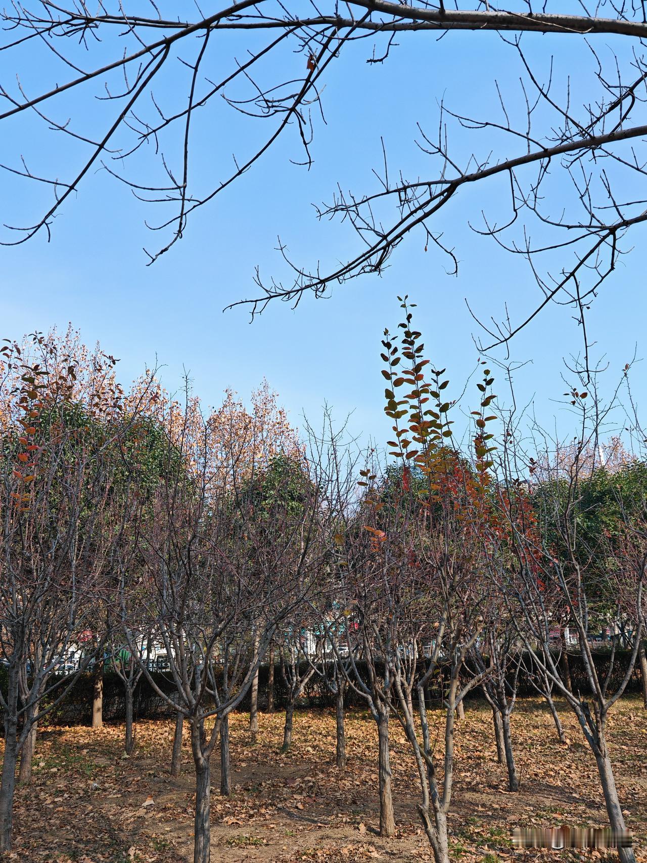 生命的本质是什么我感觉生命的本质啊，说白了就是“折腾着好好活”，不是啥高大上的大