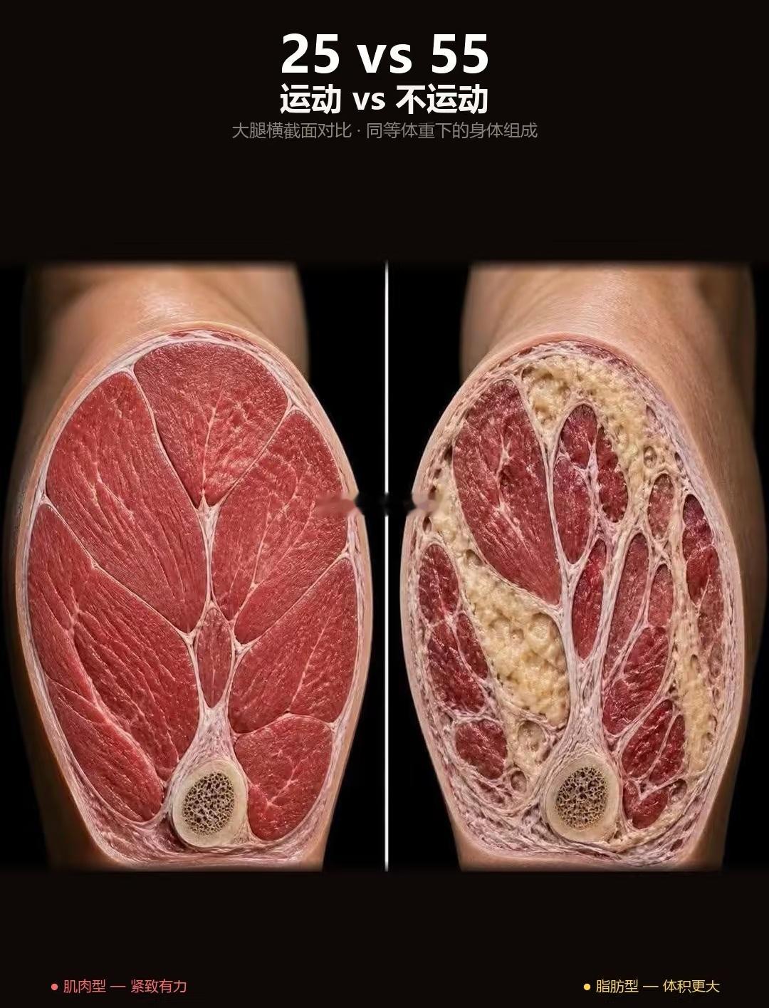 运动和不运动的差距，到底有多大？