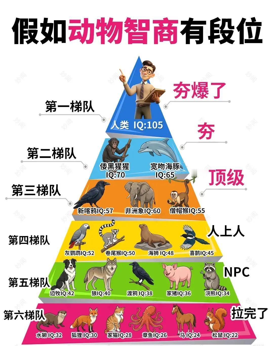 章鱼除了寿命问题，有成为智慧生命的潜能。短板就是寿命才有几年，无法传承。触手完全