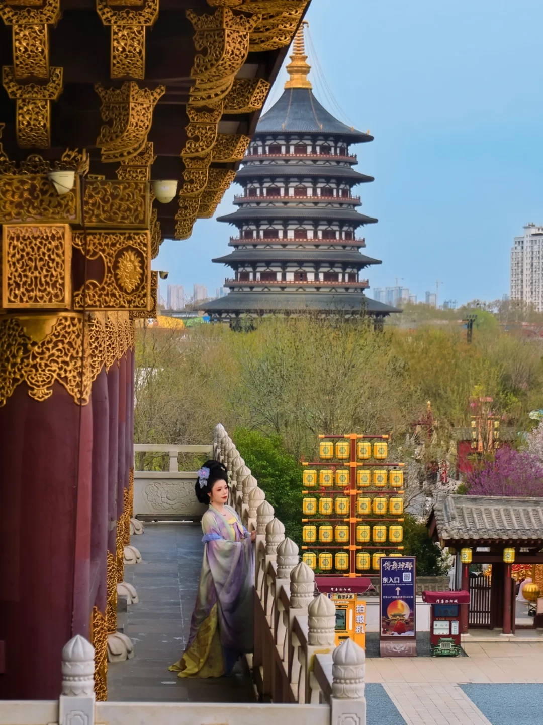 洛阳牡丹季封神‼️路线本地人看了都说绝❗