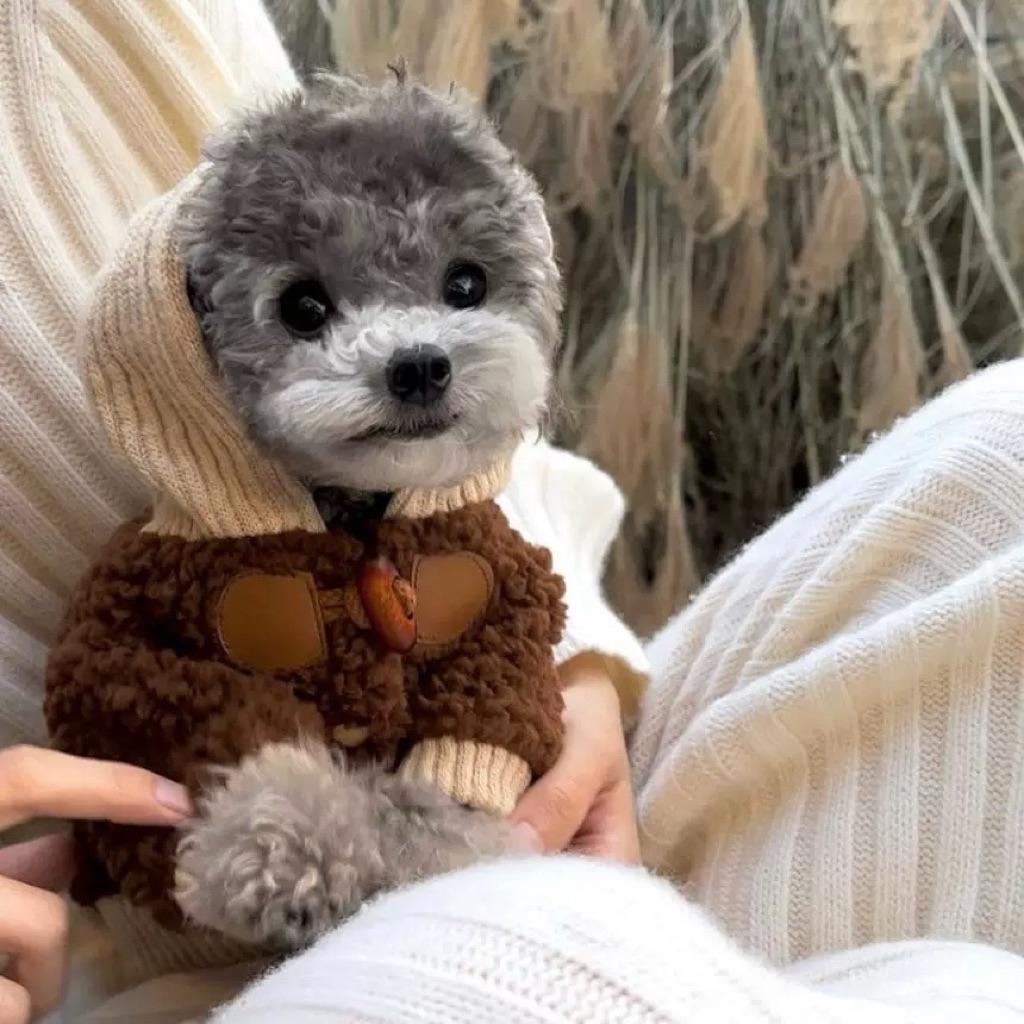 房子是用来住的，跌不跌，你都要住、都要还月供。真正难过的，是那些高位接盘、