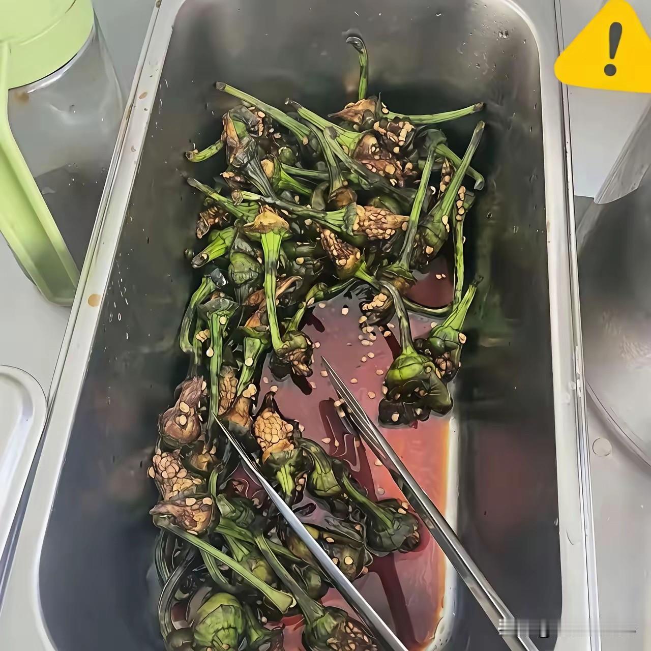 哪里有这道菜[doge]