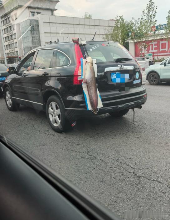 听我的，这肯定是个钓鱼佬，没错！​​​