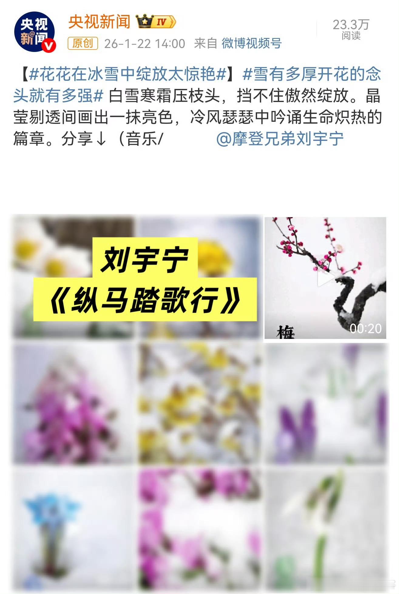 刘宇宁真是官方常客啊根正苗红正能量一天之内两大g媒引用其歌曲出现在g媒真是基操了