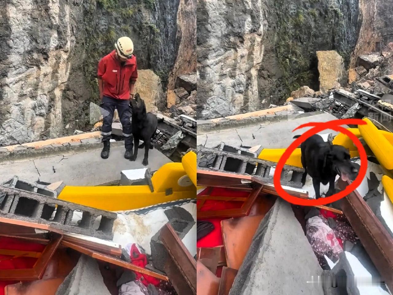彭水救援现场传来重大喜讯！搜救犬发现生命迹象信号，专家用生命探测仪三次确认位置