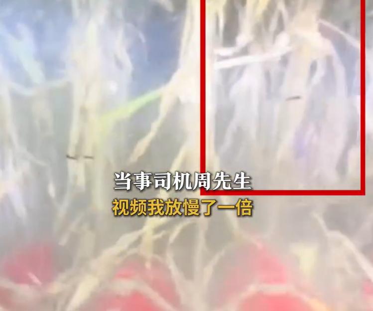 周先生深夜在地里收割玉米。突然情况紧急，直吓得他心惊肉跳！前不久，一天的深夜。