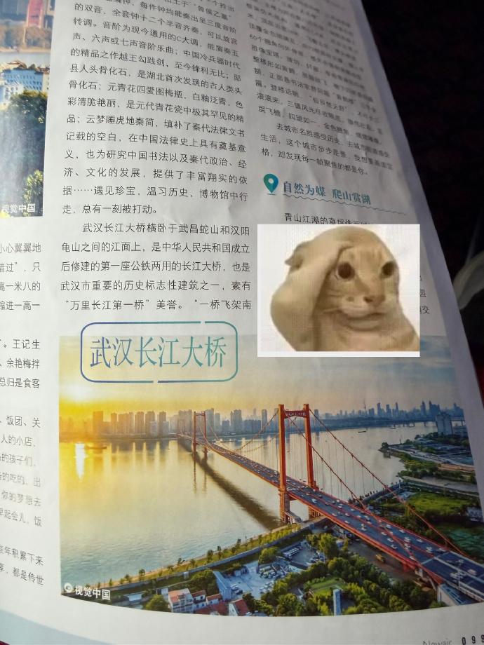 在飞机上翻杂志，给我看沉默了⋯⋯