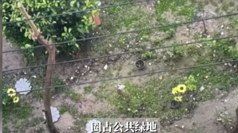 “彻底解释不清了！”上海，一女子因为投诉了一楼的邻居违规圈占公共绿地，造成了小区