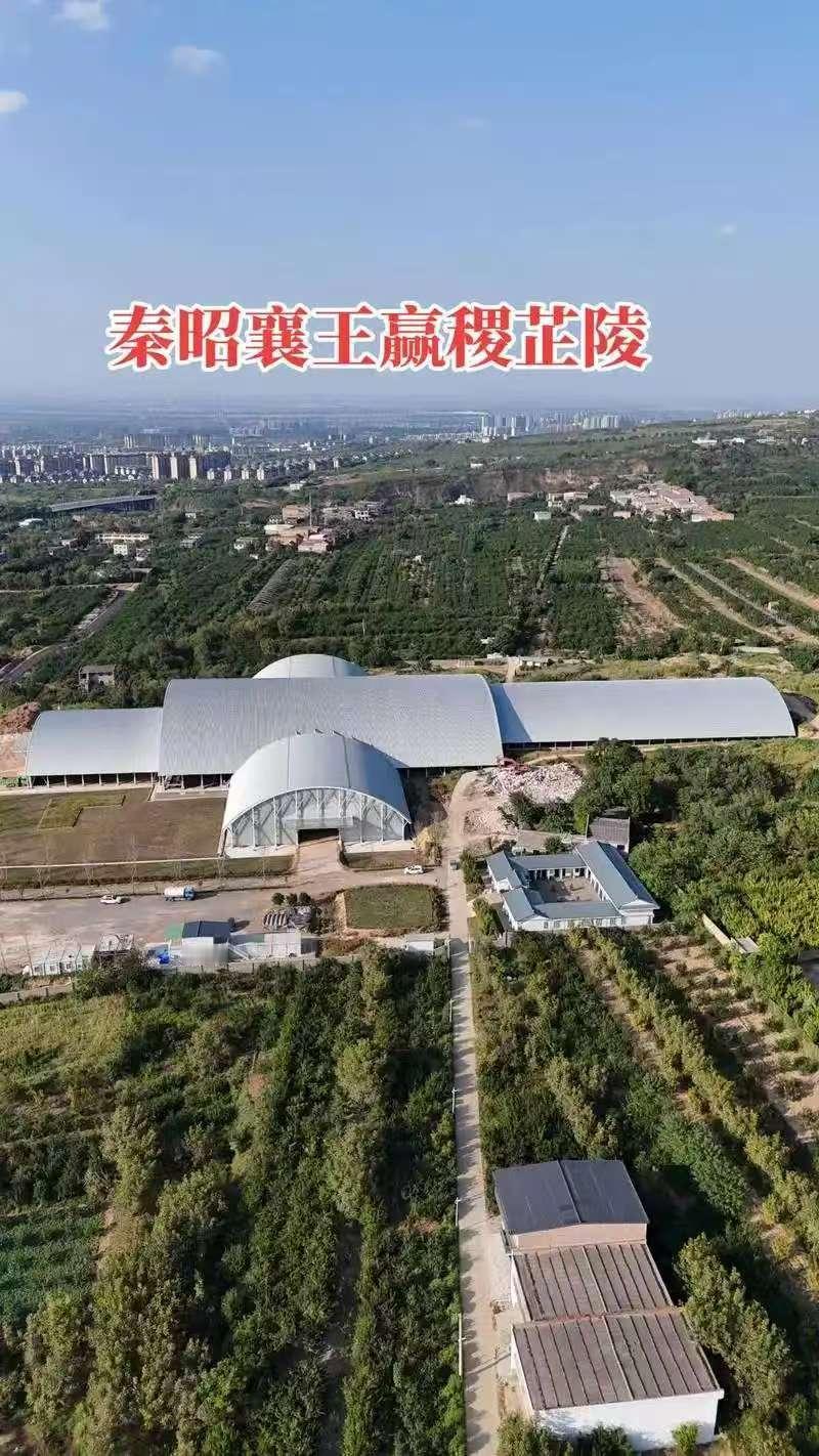 2010年，秦东陵被盗，警方抓获盗墓贼后，竟无意中揭开历史谜团你敢信吗？秦